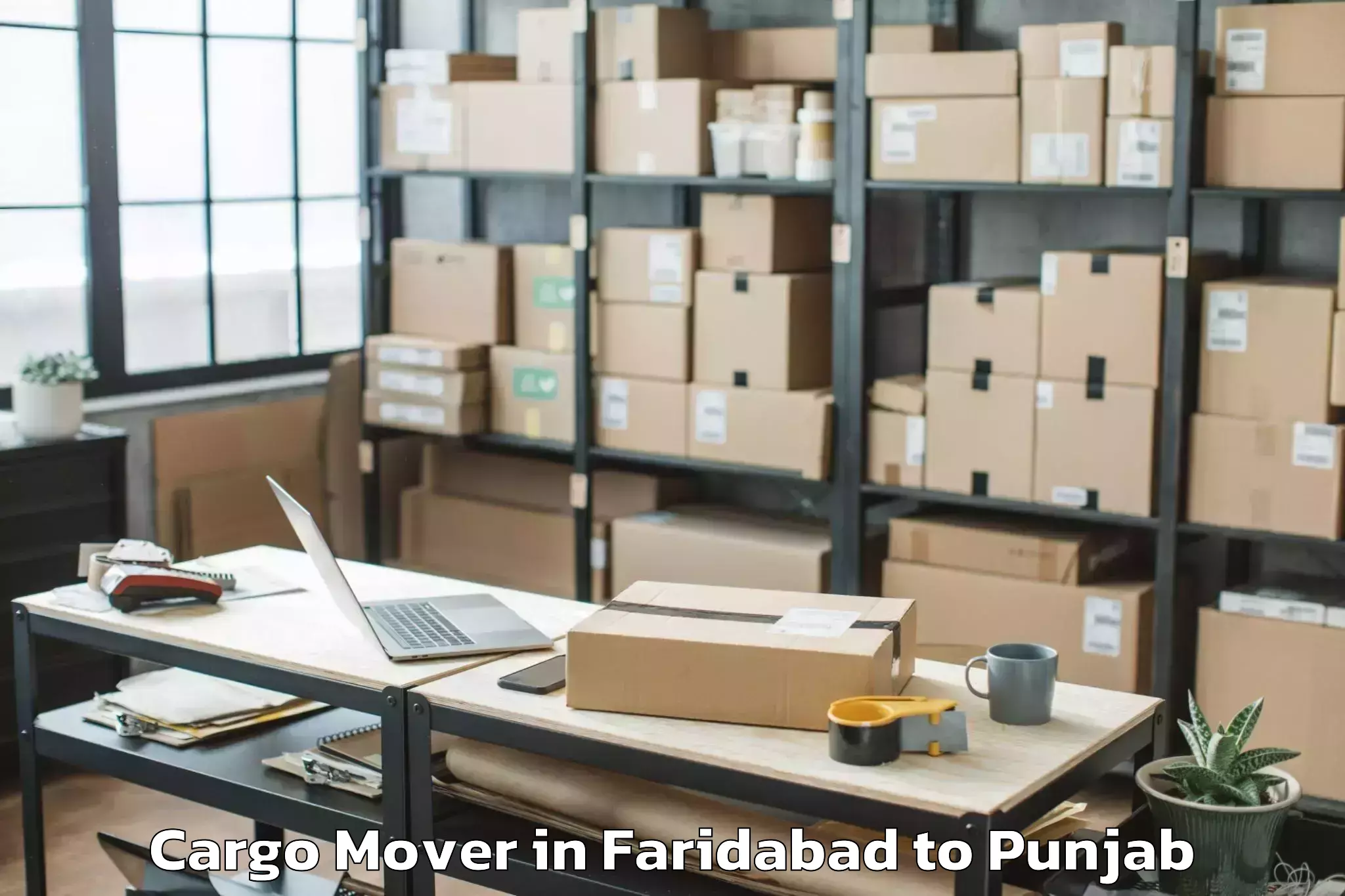 Comprehensive Faridabad to Dasua Cargo Mover